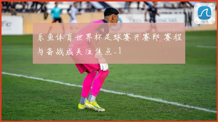 乐鱼体育世界杯足球赛开赛即 赛程与备战成关注焦点_1