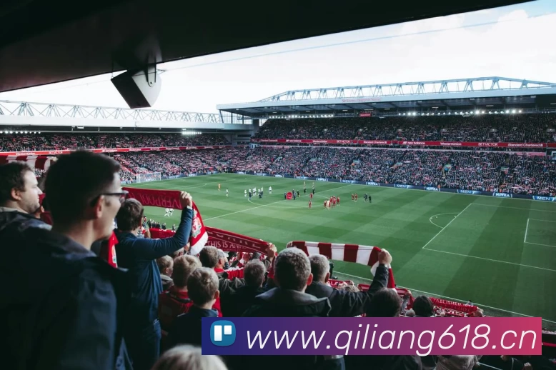 多媒体互动体验